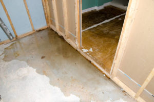 water-damage-lisle-il-accu-dry-basement-waterproofing-2